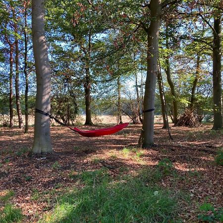 Zum Heuerling Ferienwohung Im Alten Stall Mit Sauna Versmold Exteriör bild