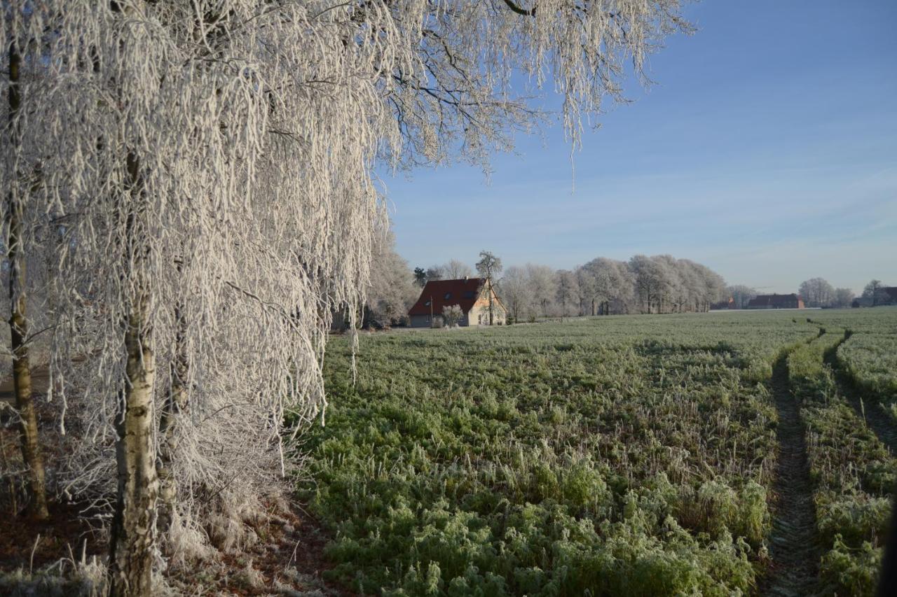 Zum Heuerling Ferienwohung Im Alten Stall Mit Sauna Versmold Exteriör bild